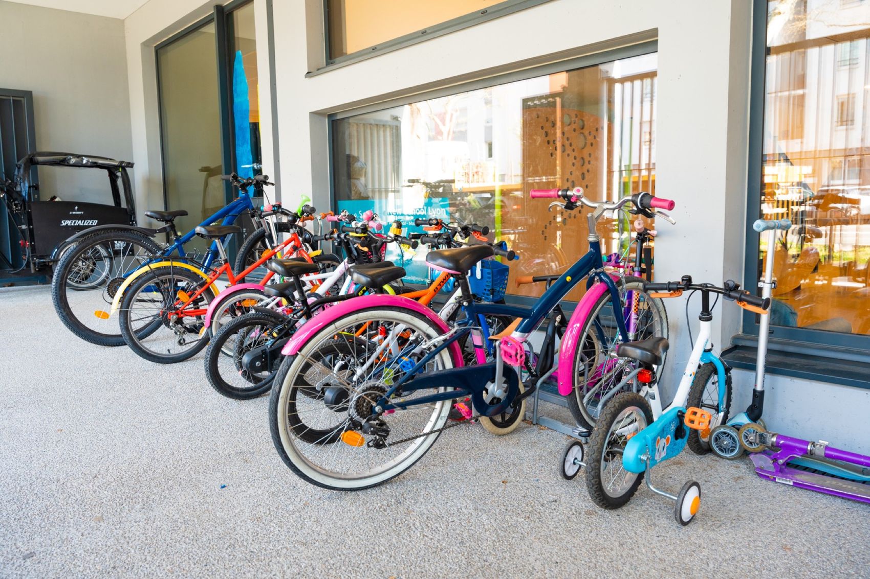 Sport hebdomadaire à New School Lyon